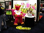 DSCN5475.JPG